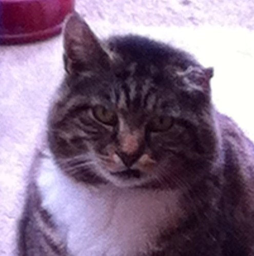 PinBath's profile picture. Utinam barbari spatium proprium tuum invadant!