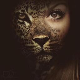 mjau_mjauuu's profile picture. 