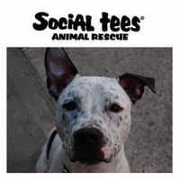 Social Tees (@socialteesnyc) 's Twitter Profile