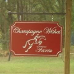 Home of ICP Level III Certified Trainer and CCI*** level event rider Paul Ebersole