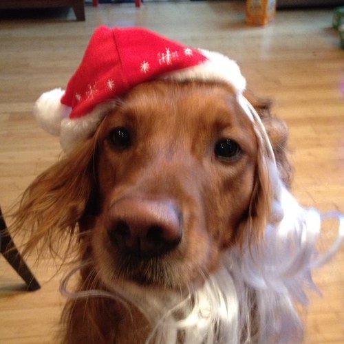 michelleq16's profile picture. 