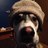 Profile Picture of Spike Weaters (@EnsMatthew) on Twitter