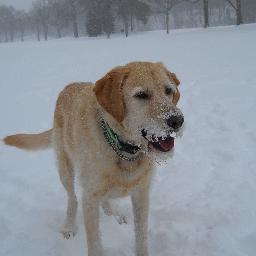 nipperxpat's profile picture. 