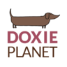 DoxiePlanet's profile picture. I'm Terri and I think Dachshunds are hands down the best dog breed there ever was. The three Doxies I live with agree they are bundles of awesome.
