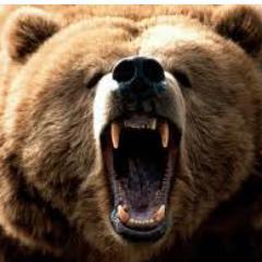 Kevin_J_Madden's profile picture. working thinking about hiking or hiking wishing I could hike more