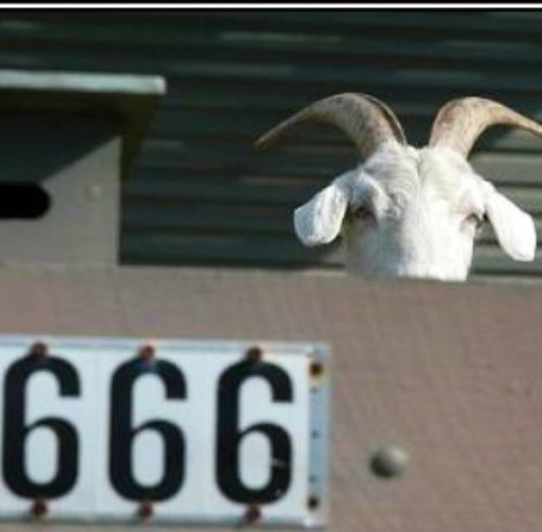 revspankbottom's profile picture. 