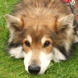 LeadsMadeEasy's profile picture. Click below to get a free lead capture page, autoresponder, website, and a complete sales funnel all for a business that is FREE to join! http://t.co/bO7zLYKzsS