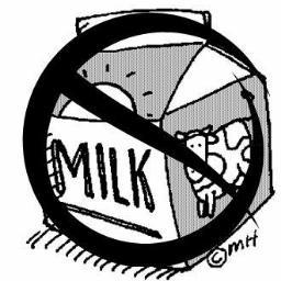 CowWithoutMilk's profile picture. I'm a cow, without milk! have pity and follow me.