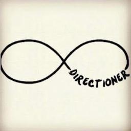 Sou & Sempre Vou ser Directioner , Nada & Niguem , Vai me Impedir , Com Todo O Meu Orgulho Eu Digo : I Love One Direction ' 1D