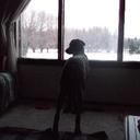 Danielle Normand - @Danny7561 - Twitter