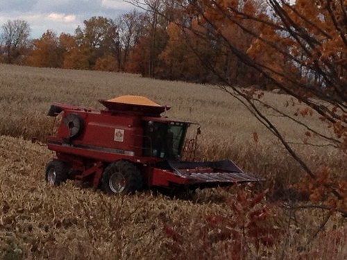 Husband,Father,Farmer,Thrillseeker!