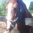 Rayna Long - @RaynaKendea00 - Twitter