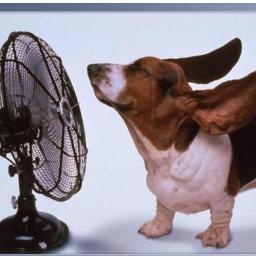 _Apasionado_'s profile picture. 