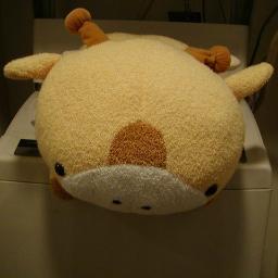 よろしゅ～に～