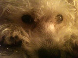 sjkfriendly's profile picture. 