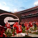 Between the Hedges - @feauxMarkRicht - Twitter