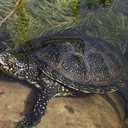 michael koop - @michael1gt - Twitter