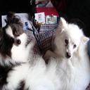 Abigail Goff - @AbigailGoff8 - Twitter