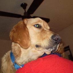 lorac732's profile picture. ANIMAL LOVER!!!!!!