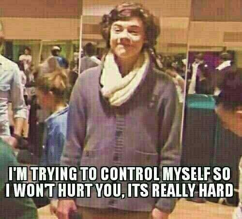 i consider myself an ambassador for the one direction fandom , like idk ... ps Janoskians are my fix, I love them crazy guys!