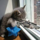 jackie spence - @jackiespence15 - Twitter