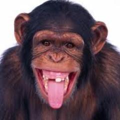 eita macacos feios duuu in yoh you