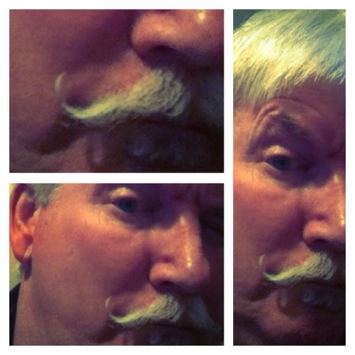 Smluhn's profile picture. 