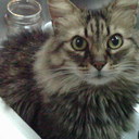 esther katz - @esther_katz - Twitter