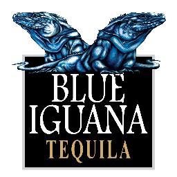 100% Blue Agave Tequila from Jalisco. Office in San Miguel de Allende full of despicable, irreverent iguanas. http://t.co/rObyMAHILk