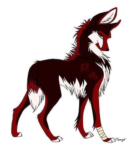 Linx is a lone wolf, she doesn't travel in packs. She is barely ever playful, only when she accepts you as a friend. ((RP freely - some OOC))