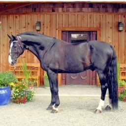 ShitHntersThink's profile picture. Zone 3, childrens jumpers