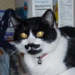 LOUGLEICHER's profile picture. 