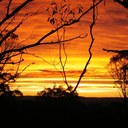 Lucas Gamble - @mounttennant - Twitter