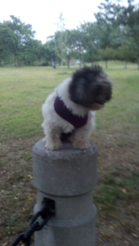 Gleesondabx's profile picture. 