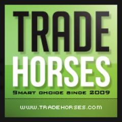 #Horses for #Sale - #FREE photo ads! http://t.co/8HlPy4JNOc