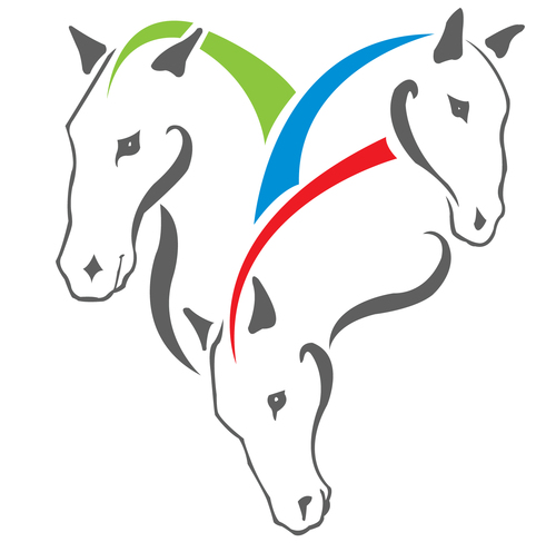 voicesforhorses's profile picture. Supporting owners and their horses