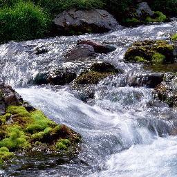 RiverOfLifeEnt's profile picture. “Music and rhythm find their way into the secret places of the soul” #FlowingInTheRiverOfLife #ROLE #Manifest #ROLEingStone #NoMoss