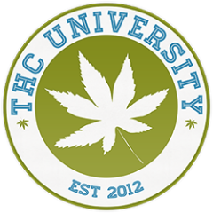 THC University is the cannabis industry certification destination.