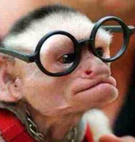 michaelmcgrat12's profile picture. 