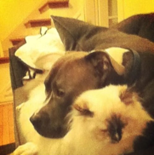 woodsie2013's profile picture. 