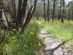 A group of mates raising running from Ballarat2Bendigo along the Goldfields track- POSTPONED until Autumn 2014 due to injuries!