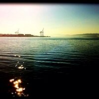 Christopher Cope (@chriscopenz) 's Twitter Profile