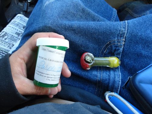 Co Founder of Hempire Delivery