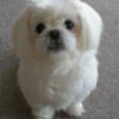 …言わないんじゃなくて言えないの…(ー_ー)!!