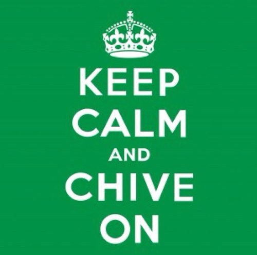 Submit your chivette pics & they will be posted for all of the Chivenation to enjoy! #kcco #thechive #chiveon #chivette. chivettepics@gmail.com