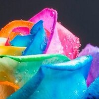 أسماء الراشد (@asmaaeyat) 's Twitter Profile