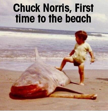 Hansmanwilson's profile picture. 