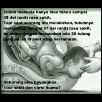 No coment