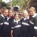 tess nolan - @tessnolann - Twitter