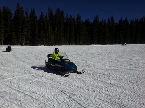 susiethomas183's profile picture. 